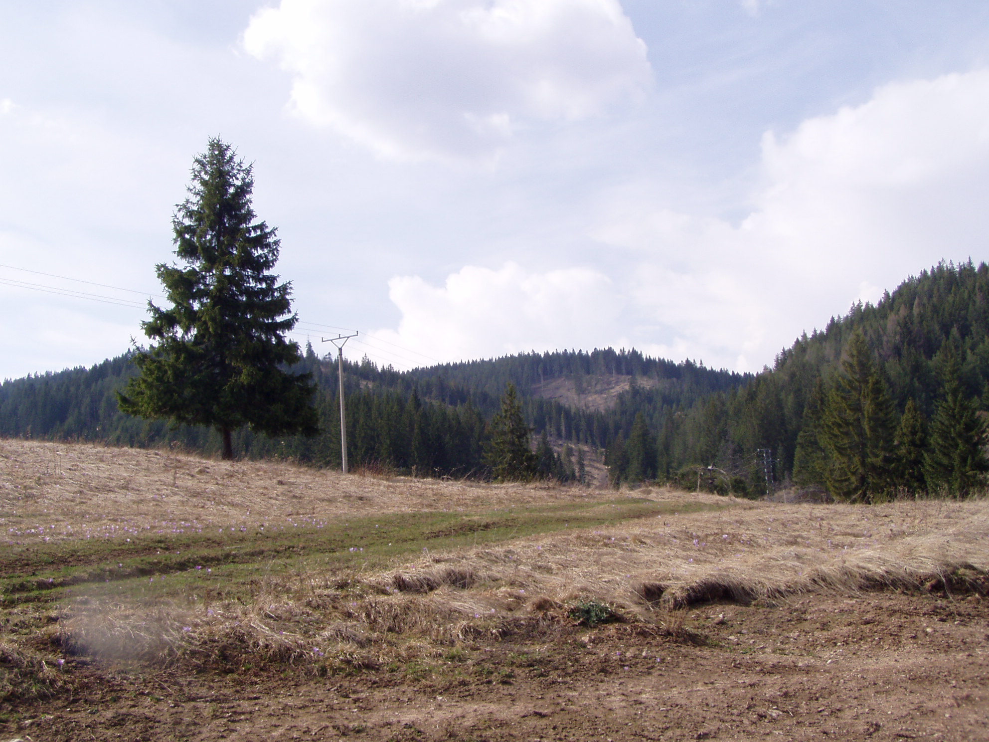 P1010303.JPG