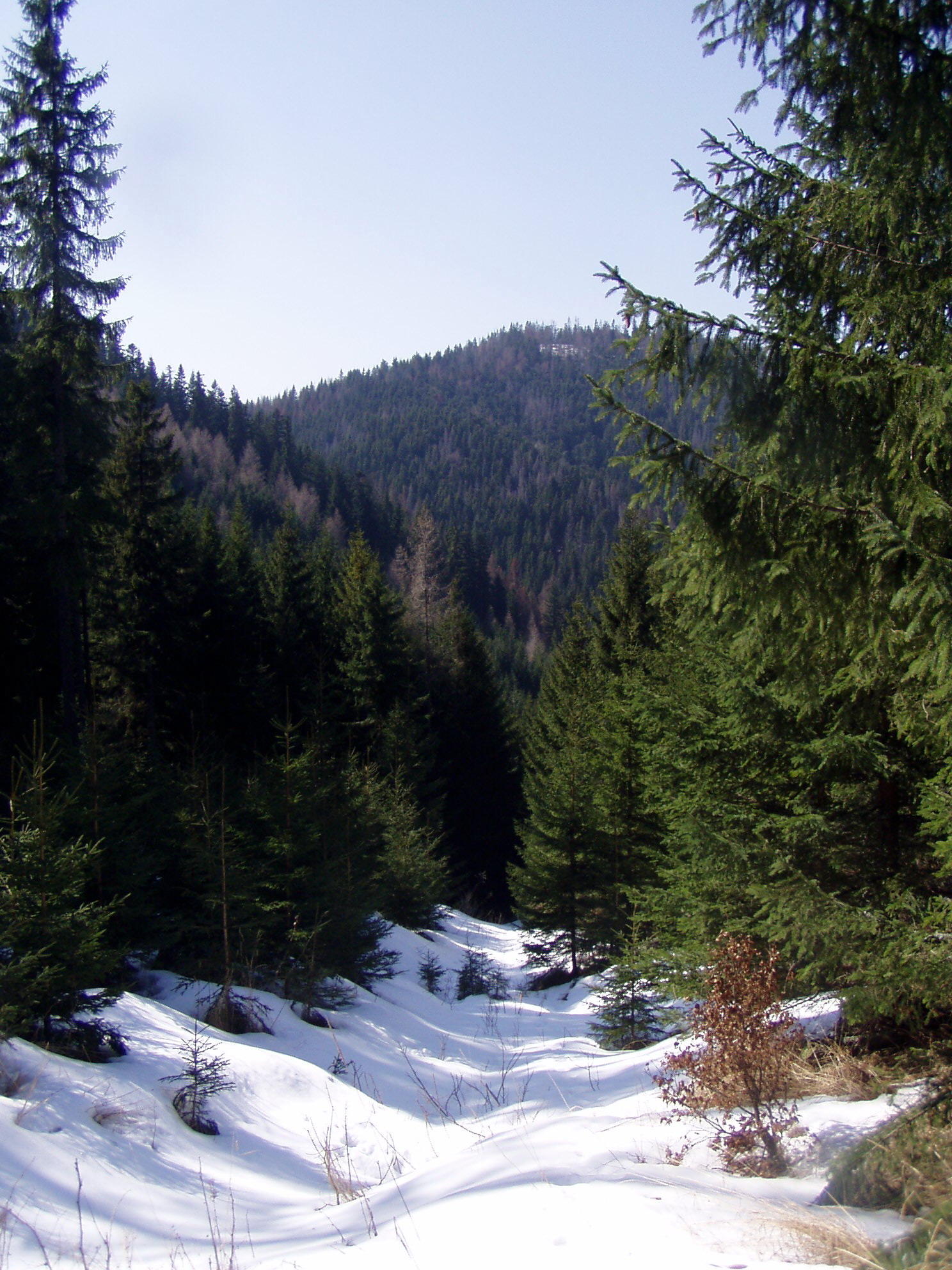 P1010247.jpg