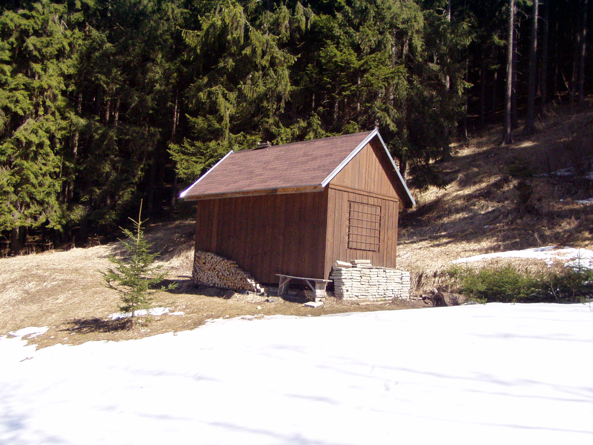 P1010105.JPG