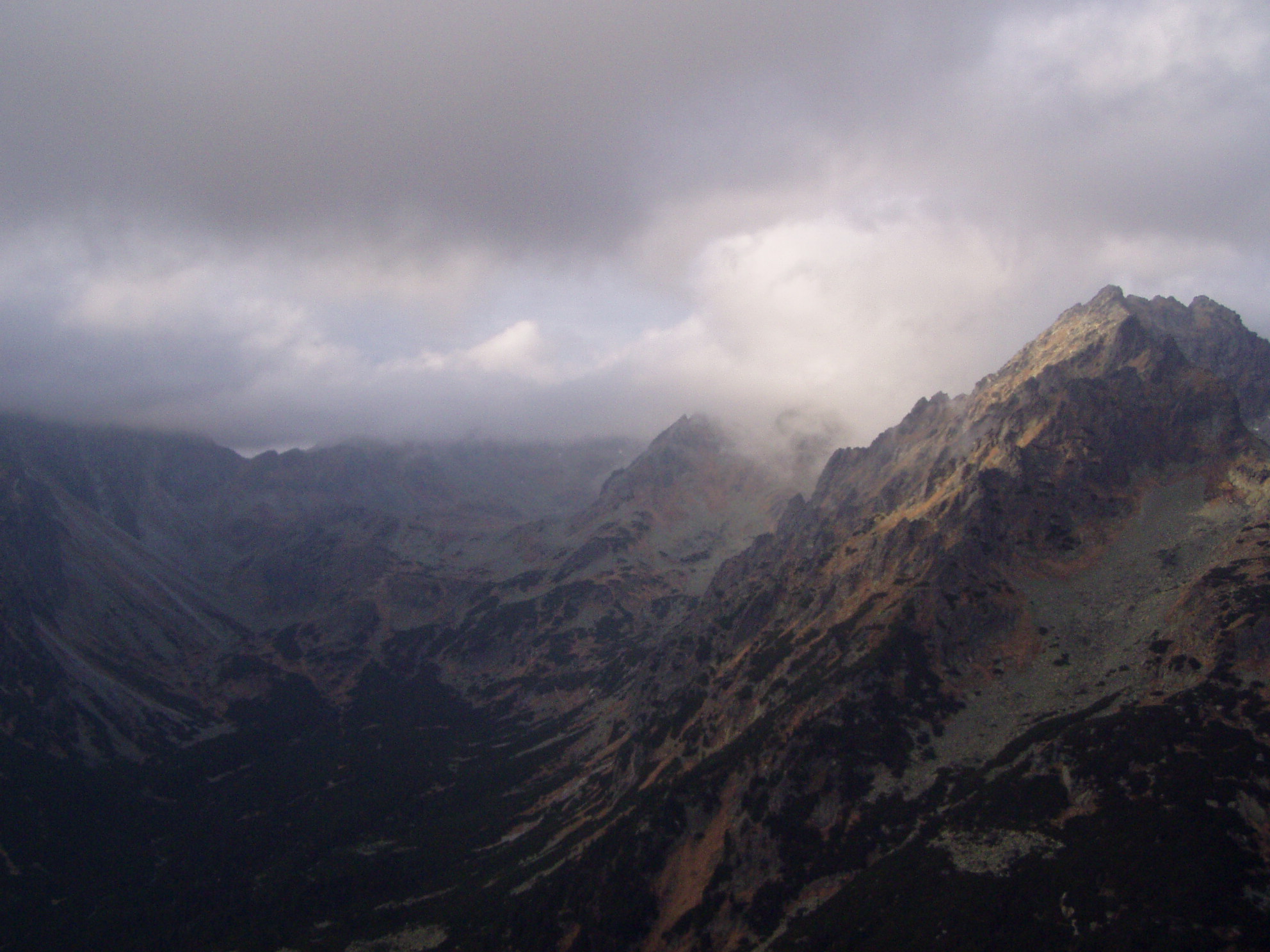 P1010387.JPG